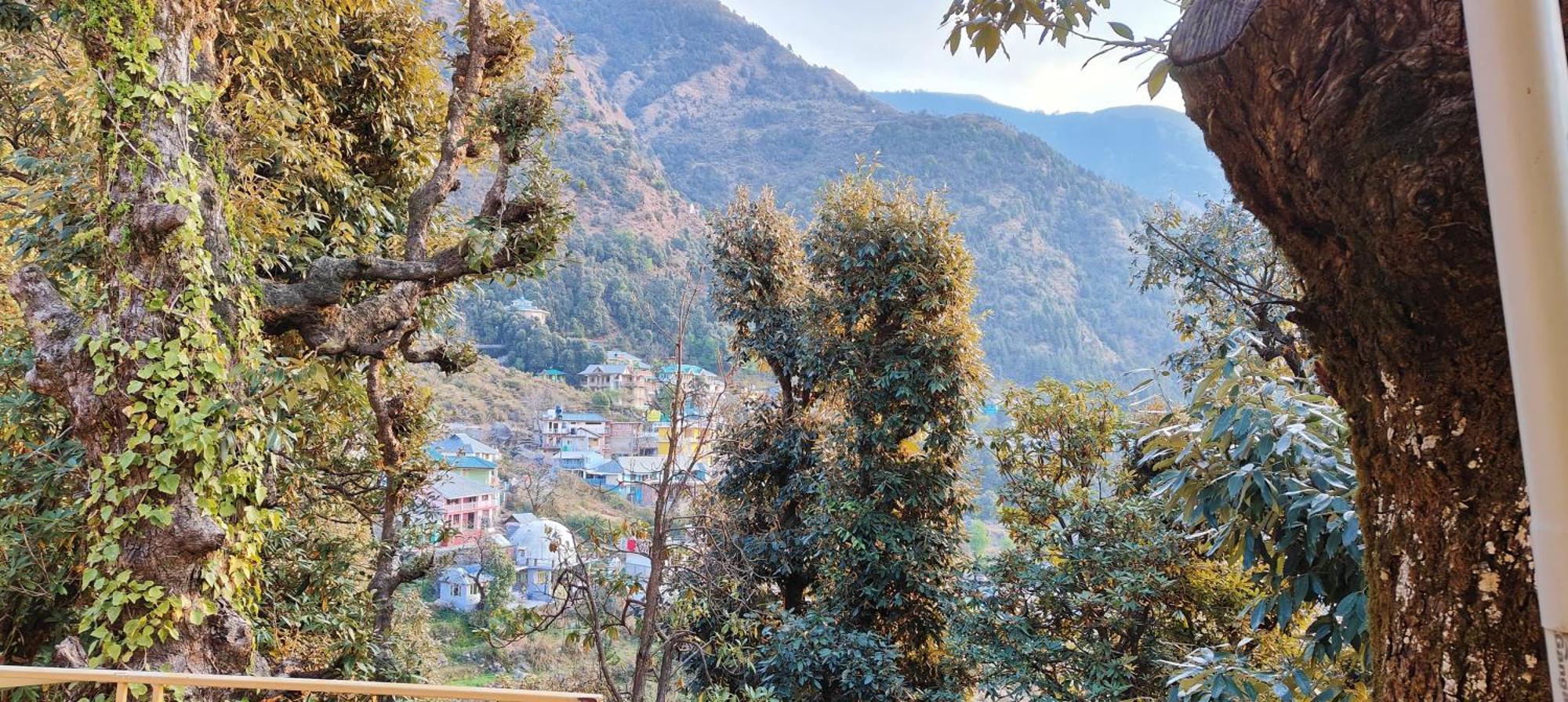 다람샬라 The Unmad - Dharamkot B&B 외부 사진